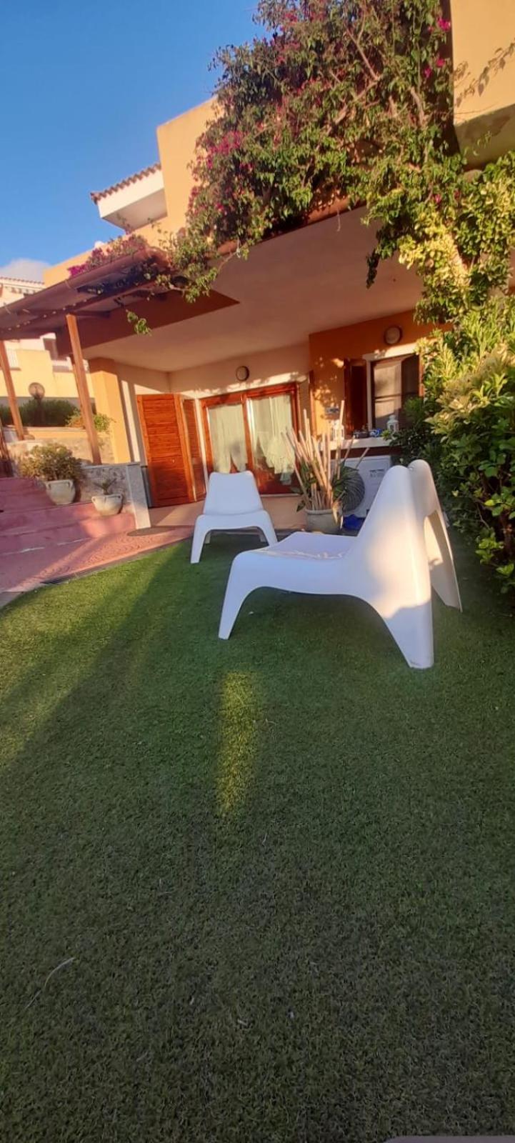 Tartaruga 3 *